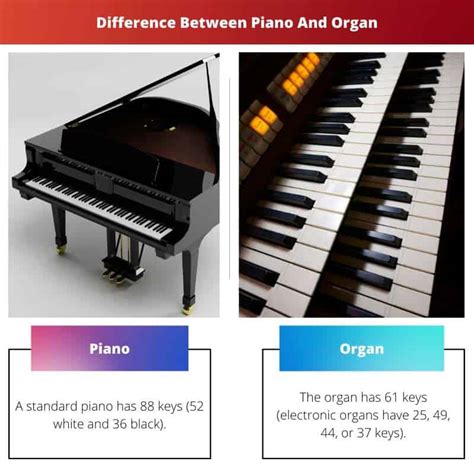 organ vs piano